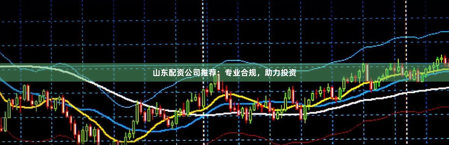山东配资公司推荐：专业合规，助力投资